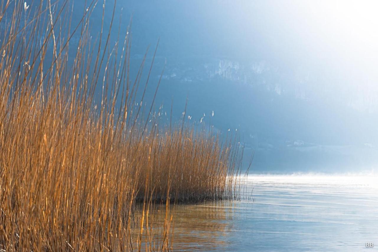 Du Vent Dans Les Arbres -120M2 Belle Vue Sur Le Lac Chindrieux Exteriér fotografie
