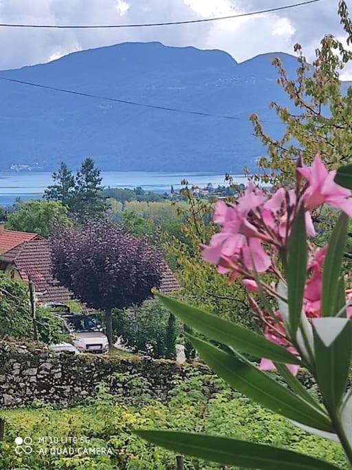 Du Vent Dans Les Arbres -120M2 Belle Vue Sur Le Lac Chindrieux Exteriér fotografie