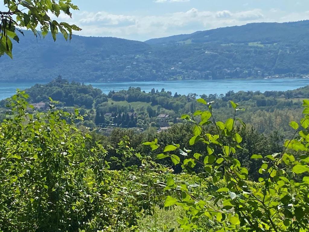 Du Vent Dans Les Arbres -120M2 Belle Vue Sur Le Lac Chindrieux Exteriér fotografie